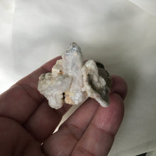 Load image into Gallery viewer, Faery Ears