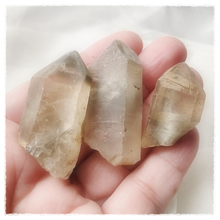 Load image into Gallery viewer, Golden Quartz with Brookite and Silver Rutile