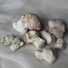 Load image into Gallery viewer, Raw Snakeskin Agate Stones