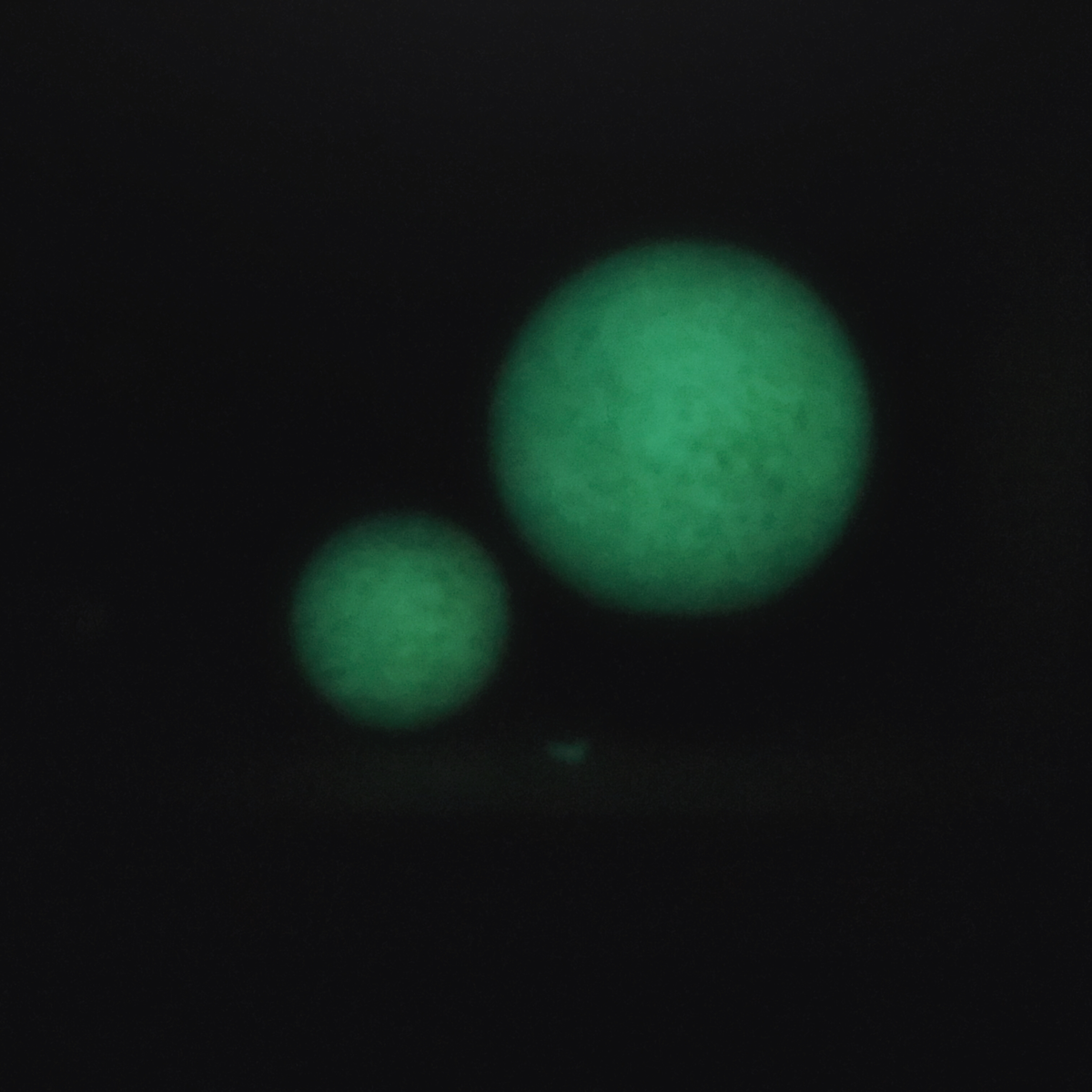 邦楽 MYPROOF / shining stardust Amazon.co.jp: Shining Stardust