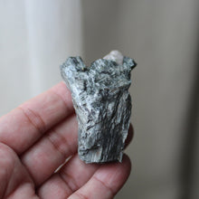 Load image into Gallery viewer, Elephant Heart - Song of Stones
