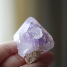 Load image into Gallery viewer, Amethyst with Cacoxenite - Song of Stones