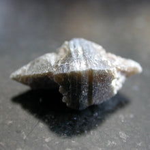 Load image into Gallery viewer, Anatase Crystals - Song of Stones