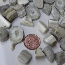 Load image into Gallery viewer, Deer Antler Stones - Song of Stones