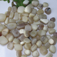 Load image into Gallery viewer, Dall Sheep Antler stones - Song of Stones