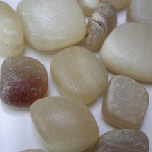 Load image into Gallery viewer, Dall Sheep Antler stones - Song of Stones