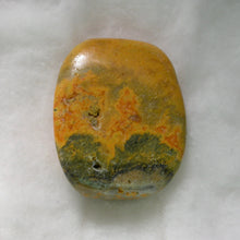 Load image into Gallery viewer, Bumblebee Jasper - Song of Stones