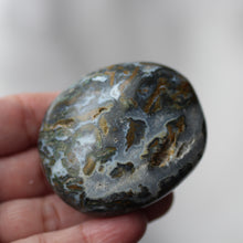 Load image into Gallery viewer, Cayman Island Ocean Jasper - Song of Stones