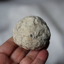 Load image into Gallery viewer, Calcite Geode