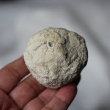 Load image into Gallery viewer, Calcite Geode