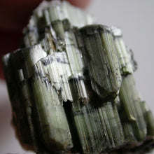 Load image into Gallery viewer, Cat's Eye Tourmaline - Song of Stones