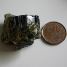 Load image into Gallery viewer, Green Cat's Eye Tourmaline - Song of Stones