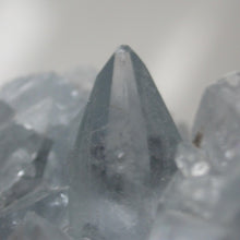 Load image into Gallery viewer, Celestite Crystal Clusters - Song of Stones