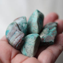 Load image into Gallery viewer, Chrysocolla Tumbles - Song of Stones