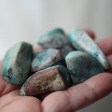 Load image into Gallery viewer, Chrysocolla Tumbles - Song of Stones