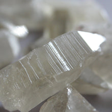 Load image into Gallery viewer, Citrine Lemurian Crystals - Song of Stones