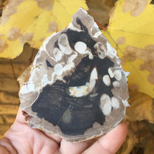 Load image into Gallery viewer, Coco Stone - Song of Stones