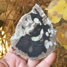 Load image into Gallery viewer, Coco Stone - Song of Stones