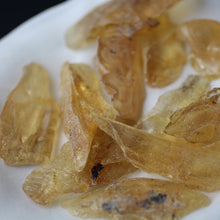 Load image into Gallery viewer, Copal Amber