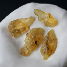 Load image into Gallery viewer, Copal Amber