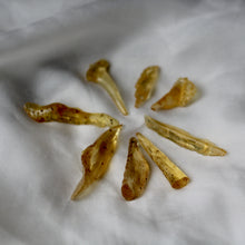 Load image into Gallery viewer, Copal Amber Wands