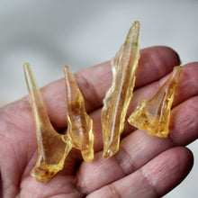 Load image into Gallery viewer, Copal Amber Wands