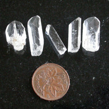 Load image into Gallery viewer, Danburite Natural Crystal Gems - Song of Stones