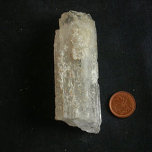 Load image into Gallery viewer, Trinomy - Song of Stones