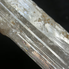 Load image into Gallery viewer, Trinomy - Song of Stones