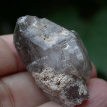 Load image into Gallery viewer, Druid Forest Quartz Crystals - Song of Stones