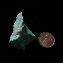 Load image into Gallery viewer, Faery Imprint Stone - Song of Stones
