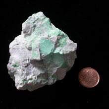 Load image into Gallery viewer, Faery Imprint Stone - Song of Stones