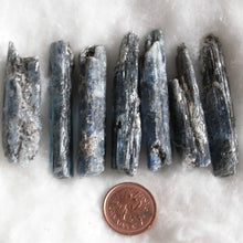 Load image into Gallery viewer, Gem Blue Kyanite Wands - Song of Stones