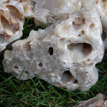 Load image into Gallery viewer, Honeycomb Calcite - Song of Stones