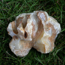 Load image into Gallery viewer, Honeycomb Calcite - Song of Stones