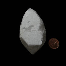Load image into Gallery viewer, Ancient Horse - Song of Stones