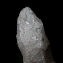 Load image into Gallery viewer, Ancient Horse - Song of Stones