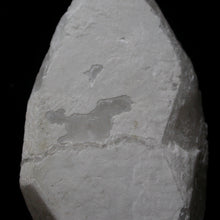 Load image into Gallery viewer, Ancient Horse - Song of Stones
