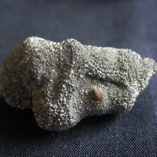 Load image into Gallery viewer, Marcasite Fossil Cocoons - Song of Stones