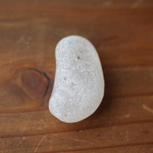 Load image into Gallery viewer, Mystical Jumping Bean Passage to your Inner Oracle - Song of Stones