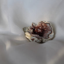 Load image into Gallery viewer, Nez Family Crystal Blessing - Song of Stones