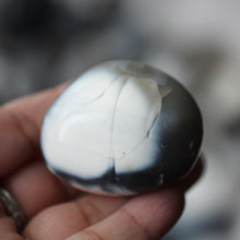 Load image into Gallery viewer, Orca Agate - Song of Stones