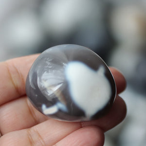 Orca Agate - Song of Stones