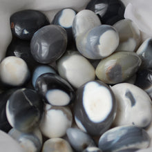 Load image into Gallery viewer, Orca Agate - Song of Stones