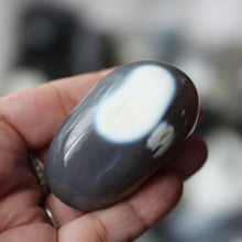 Load image into Gallery viewer, Orca Agate - Song of Stones