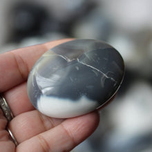 Load image into Gallery viewer, Orca Agate - Song of Stones