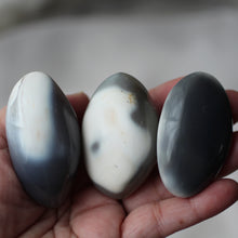 Load image into Gallery viewer, Whale Pod Orca Agates