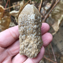 Load image into Gallery viewer, Owl Feather Quartz - Song of Stones