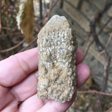 Load image into Gallery viewer, Owl Feather Quartz - Song of Stones
