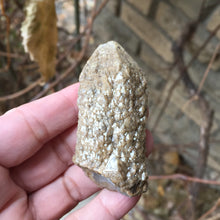 Load image into Gallery viewer, Owl Feather Quartz - Song of Stones